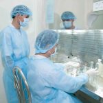 Đông Trùng Hạ Thảo Việt Nam – Nuôi Cấy 100% Tự Nhiên từ Tổ Yến