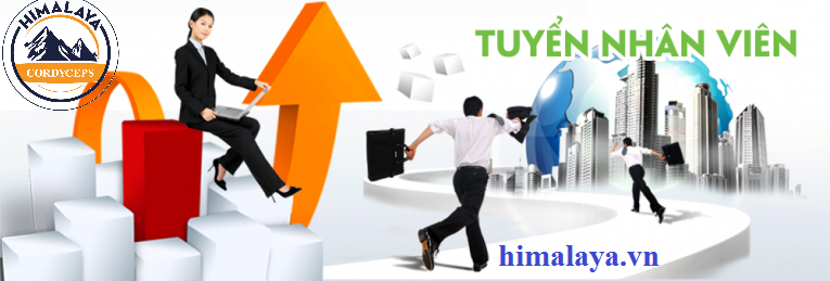 tuyen-dung-nhan-vien-marketing-himalaya