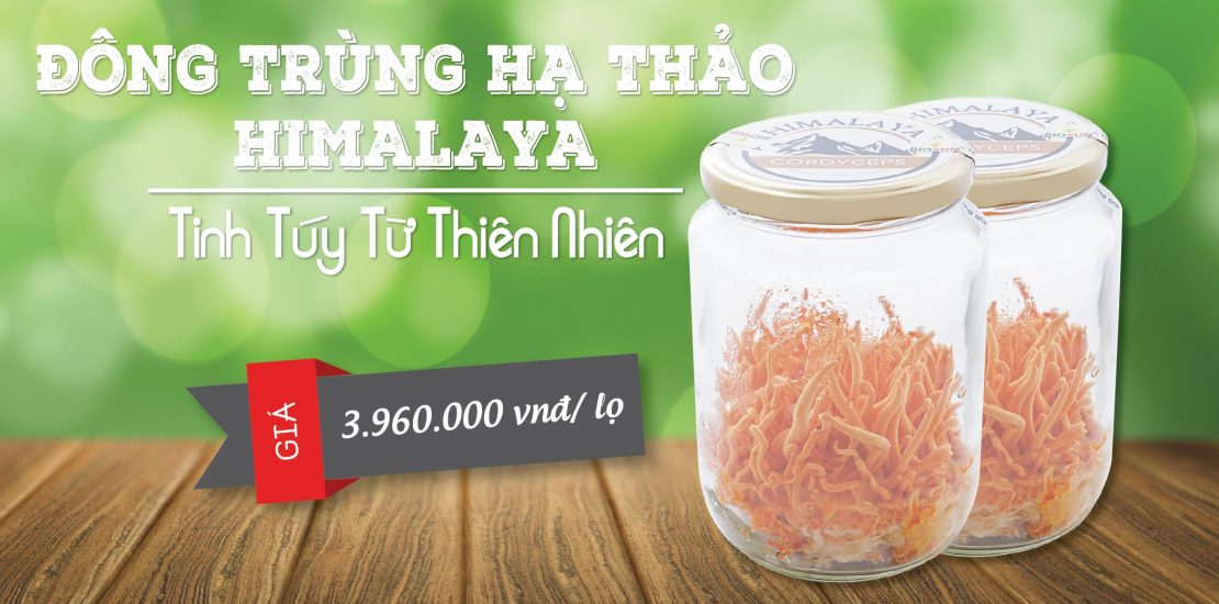 dong-trung-ha-thao-tuoi-himalaya