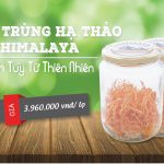 Đông Trùng Hạ Thảo Giá Rẻ Nhất Việt Nam – Chất lượng đảm bảo 100%